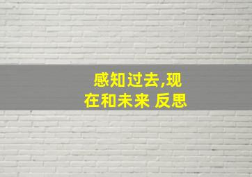 感知过去,现在和未来 反思